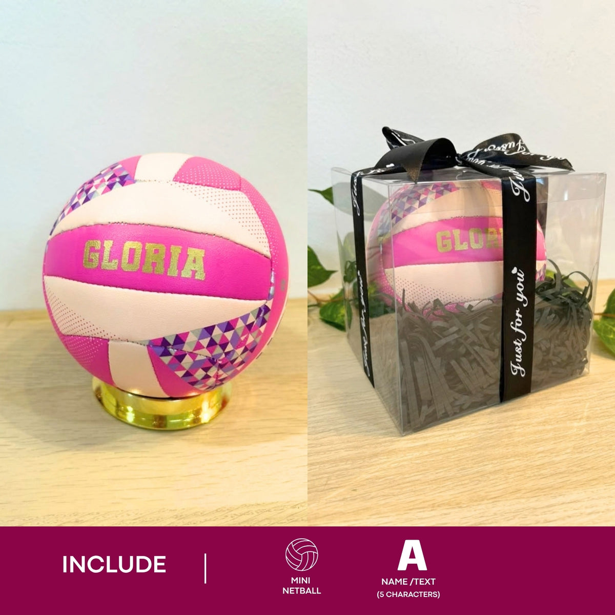 Molten Mini Netball