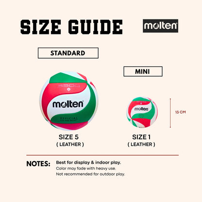 Molten Mini Volleyball