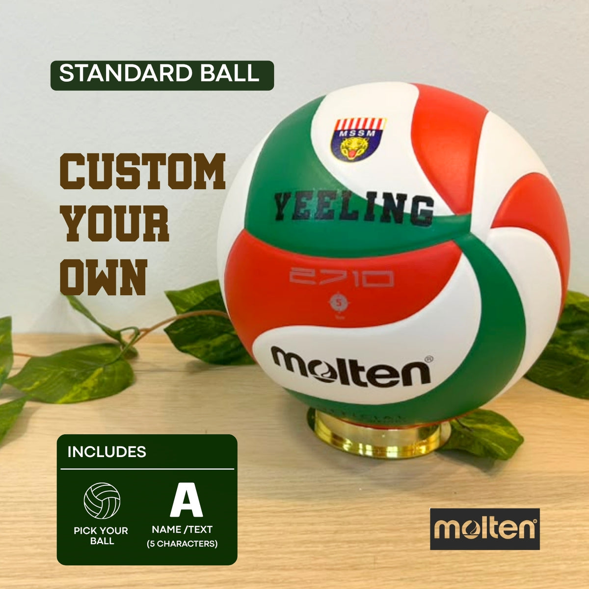 Molten Standard Volleyball