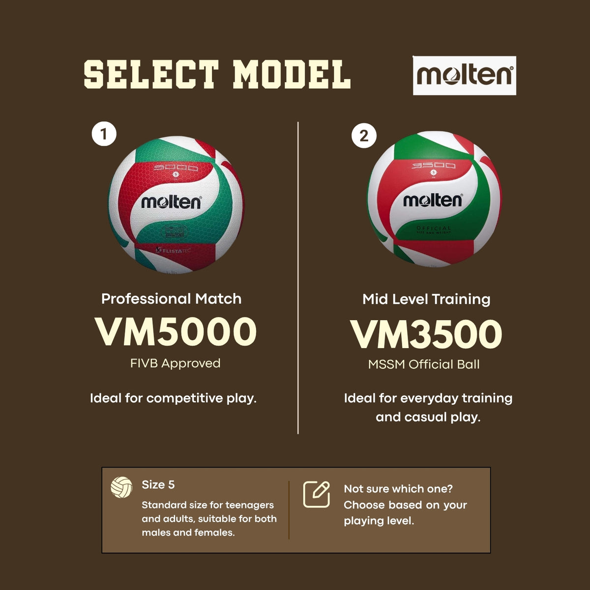 Molten Standard Volleyball