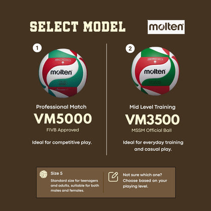 Molten Standard Volleyball