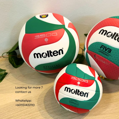 Molten Standard Volleyball