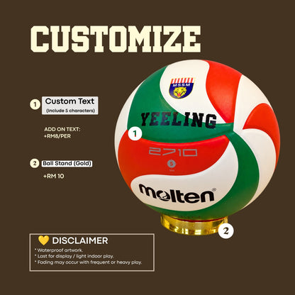 Molten Standard Volleyball