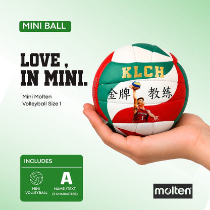 Molten Mini Volleyball